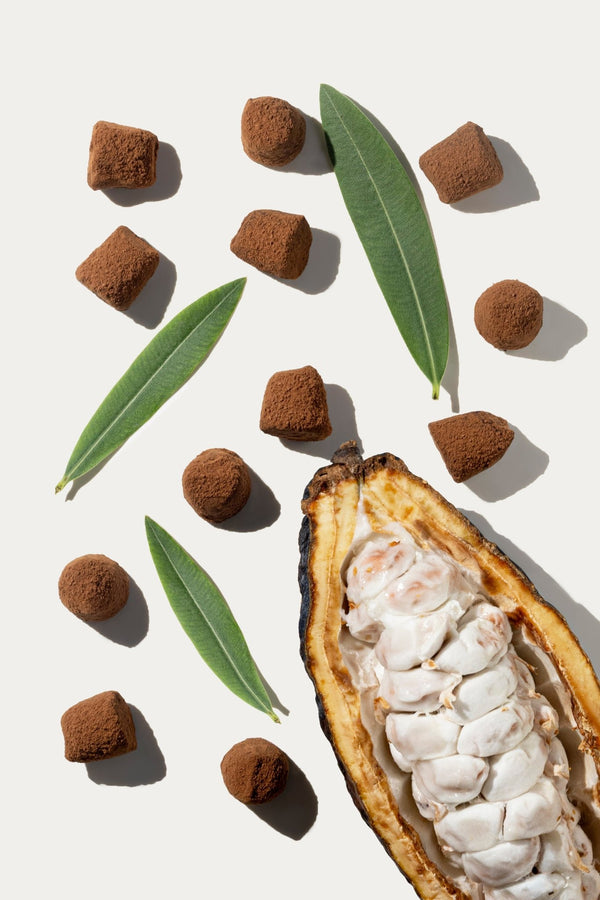 Truffes au chocolat végan - Vrac